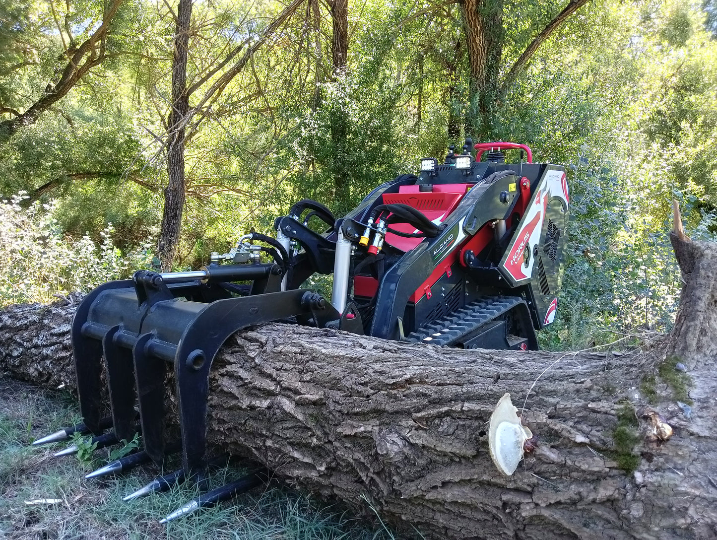 Pinza Agricola