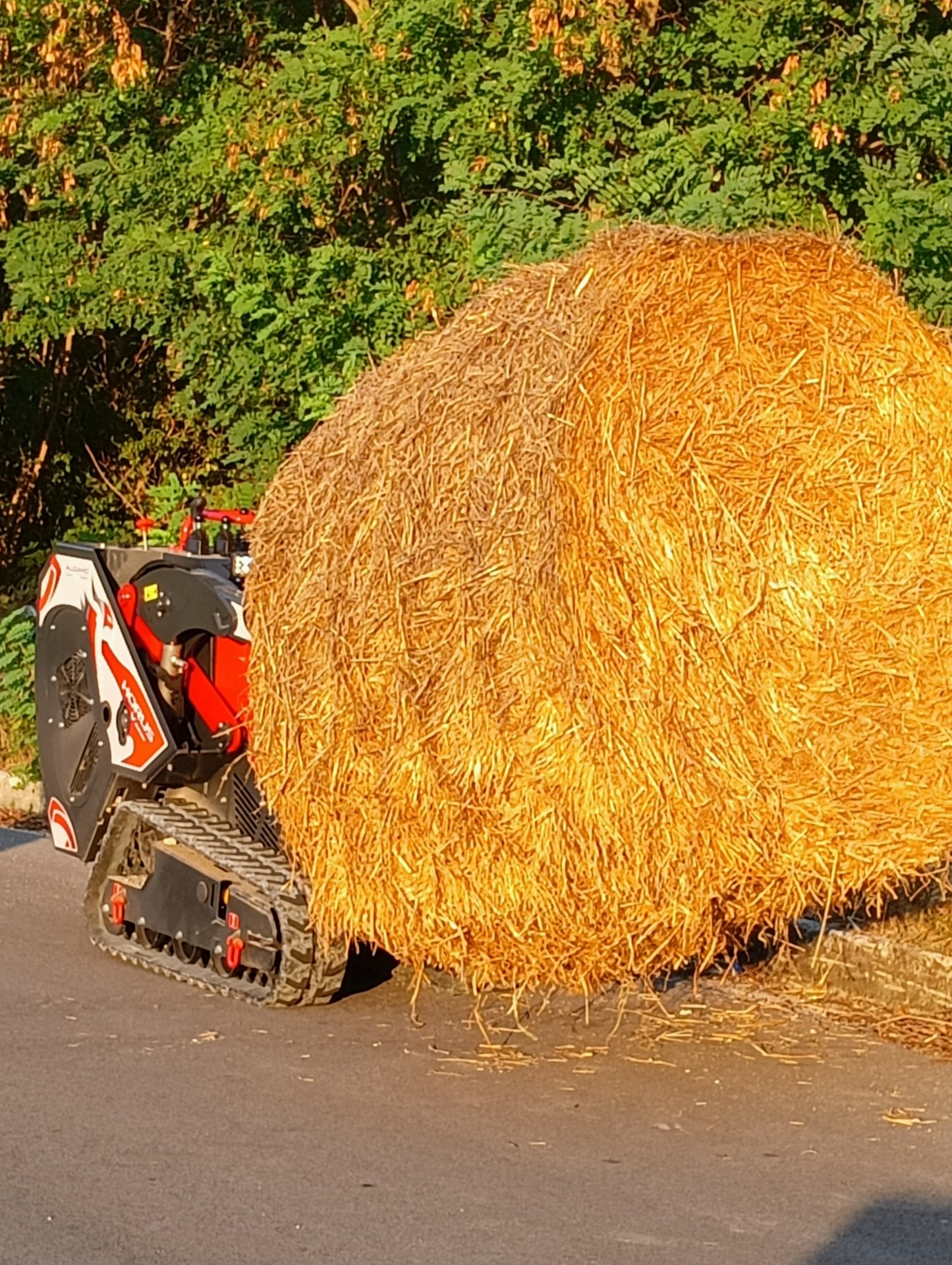 Forca Balloni