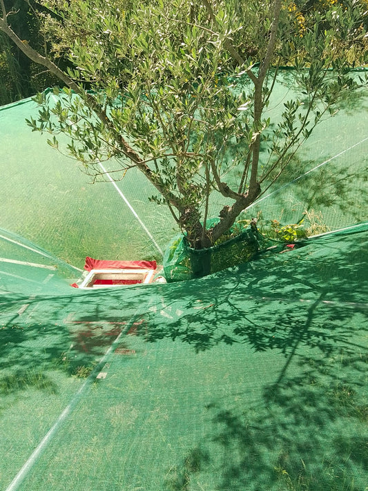 VIDAR 700